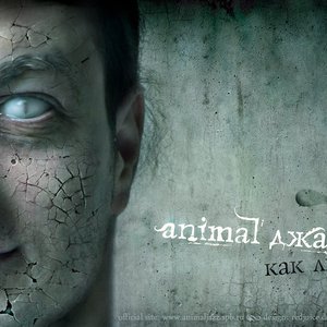 Animal ДжаZ VS [AMATORY] 的头像
