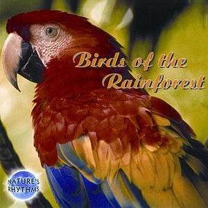 Birds Of The Rainforest