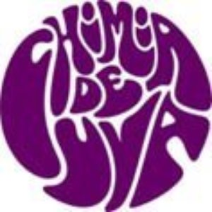 “Chimia De Uva”的封面