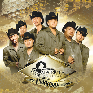 Alacranes Musical - Laurita Garza Lyrics - Zortam Music