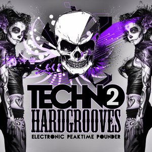 Techno HardGrooves, Vol.2 (Electronic Peaktime Pounder)