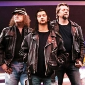 The Wayne Allchin Band 的头像