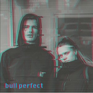 Bull Perfect