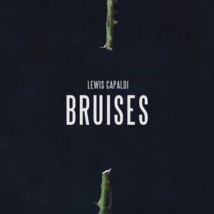 Bruises - Single