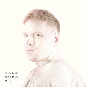Stepní vlk