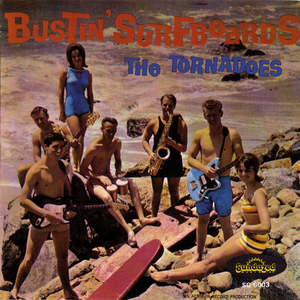Bustin' Surfboards cover