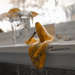 Ripe Understanding