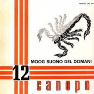 Moog Suono Del Domani