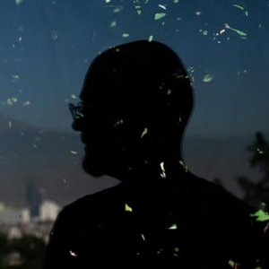 Undulae のアバター