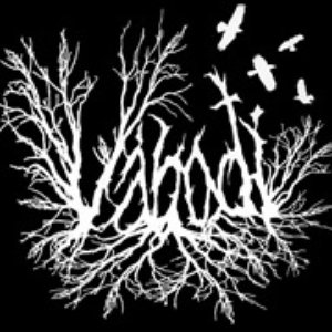 Váboði 的头像