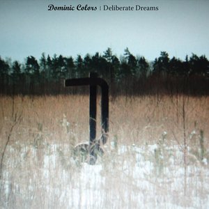 Deliberate Dreams