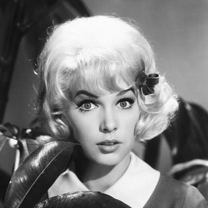 Stella Stevens 的头像