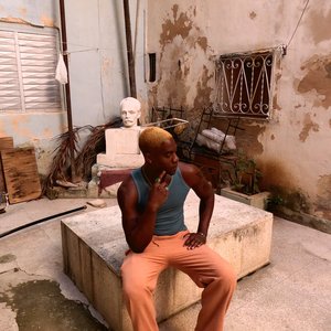 Disko Mushroom - Single
