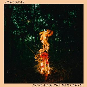Nunca Foi pra Dar Certo [Explicit]
