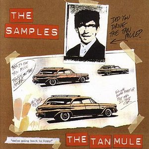 The Tan Mule