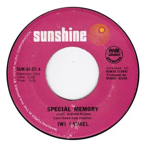 Special Memory