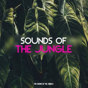 Avatar for Sounds of the Jungle