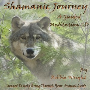 Shamanic Journey
