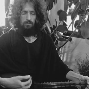Mir Vahid Radfar 的头像