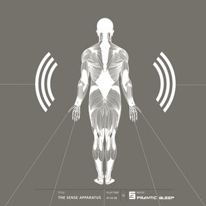 The Sense Apparatus