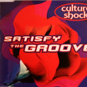 Satisfy The Groove