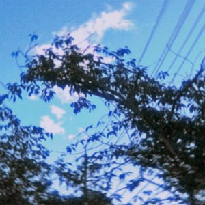 lapse