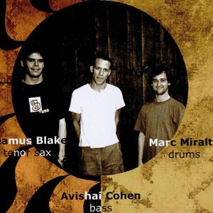 Seamus Blake-Marc Miralta Trio 的头像