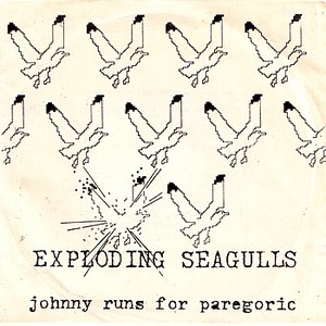 Johnny Runs For Paregoric