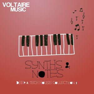 Synths and Notes 8.0