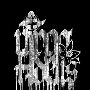 Virgo Fidelis 的头像