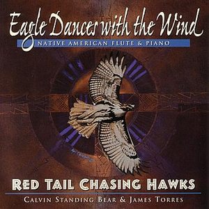 Eagle Dances With The Wind