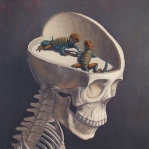 Reptile Brain