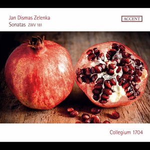Zelenka: 6 Sonatas, ZWV 181