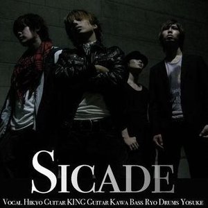 SICADE 的头像