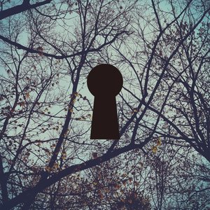 Dolmen Moon 的头像