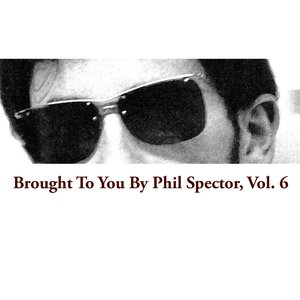 Brought To You By Phil Spector, Vol. 6