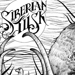 Mammuthus Subplanifrons