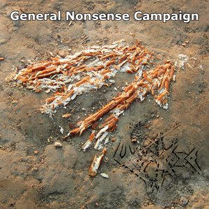 General Nonsense Campaign