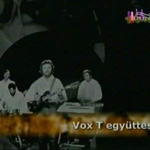 Avatar for Vox T