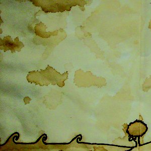 Birdless Sky
