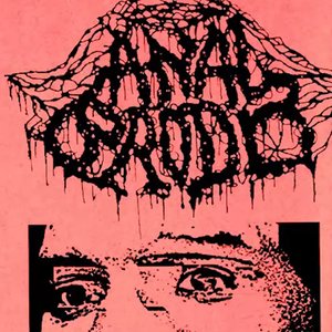 Anal Brodo