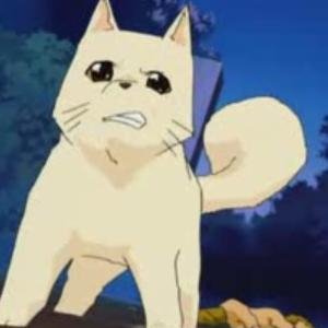 Menchi 的头像