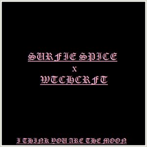 SURFIE SPICE x WTCHCRFT 的头像