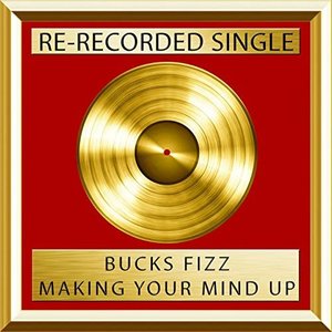 Making Your Mind Up (Rerecorded)