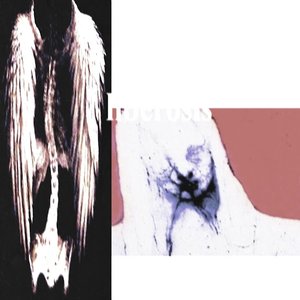 liberosis