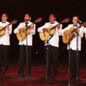 La Rondalla De Saltillo 的头像