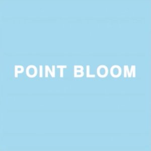 Point Bloom 的头像
