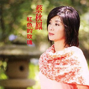 紅色的玫瑰