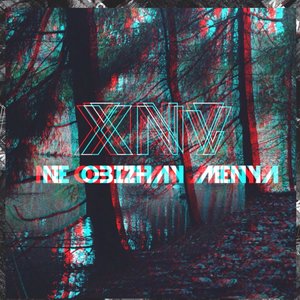 xnv 的头像