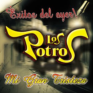 Mi Gran Tristeza - Exitos Del Ayer